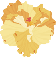 ilustração de mão desenhada flor de hibisco laranja. png