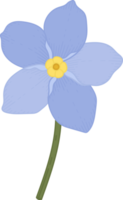 Blue forget me not flower hand drawn illustration. png