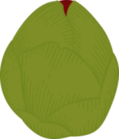 ilustración de dibujado a mano de flor de camelia roja. png