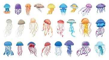 conjunto de medusas vector