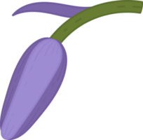 Bluebell flower hand drawn illustration. png