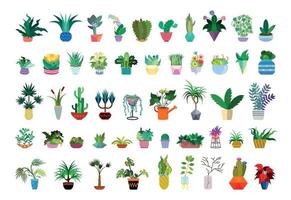 Illustrations with Houseplants