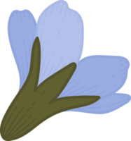 Blue forget me not flower hand drawn illustration. png