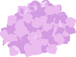 illustrazione del fiore di ortensia rosa. png