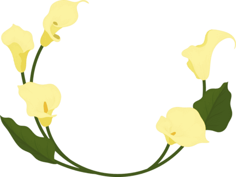 gul calla lilja blomma handritad illustration. png