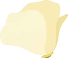 illustrazione disegnata a mano del fiore del papavero bianco della california. png