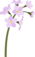 rosa glöm mig inte blomma handritad illustration. png