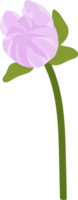 Purple dahlia flower hand drawn illustration. png