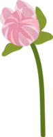 ilustração desenhada de mão rosa dália flor. png