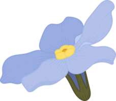 Blue forget me not flower hand drawn illustration. png