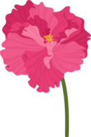 Pink Hibiscus flower hand drawn illustration. png