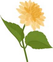 gul dahlia blomma handritad illustration. png