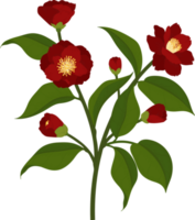 ilustración de dibujado a mano de flor de camelia roja. png