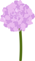 ilustración de flor de hortensia rosa. png