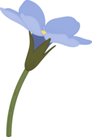 Blue forget me not flower hand drawn illustration. png