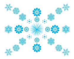 different snowflakes on a white background vector
