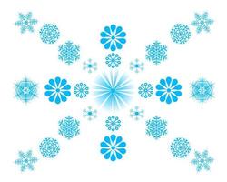 different snowflakes on a white background vector