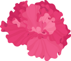 fleur d'hibiscus rose illustration dessinée à la main. png