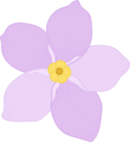 Pink forget me not flower hand drawn illustration. png