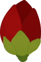 Red camellia flower hand drawn illustration. png