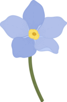 Blue forget me not flower hand drawn illustration. png