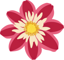 rode dahlia bloem hand getekende illustratie. png