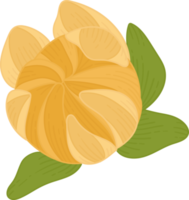 Yellow dahlia flower hand drawn illustration. png