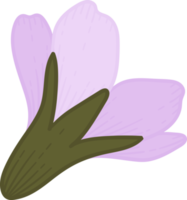 Pink forget me not flower hand drawn illustration. png