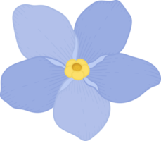 Blue forget me not flower hand drawn illustration. png