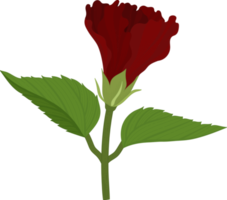 illustrazione disegnata a mano del fiore di ibisco rosso. png