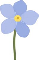 Blue forget me not flower hand drawn illustration. png