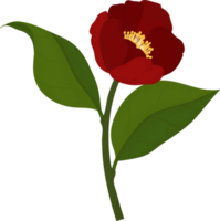 Red camellia flower hand drawn illustration. png