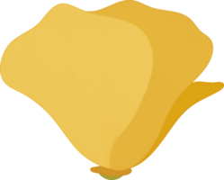 illustration dessinée à la main de fleur de pavot de californie jaune. png