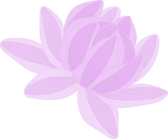lila dahlia blomma handritad illustration. png