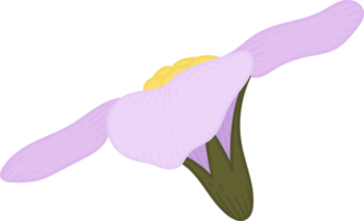 rosa glöm mig inte blomma handritad illustration. png