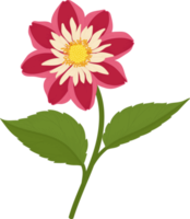 röd dahlia blomma handritad illustration. png