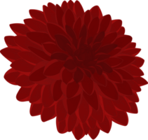 rode dahlia bloem hand getekende illustratie. png