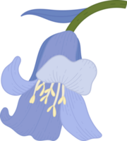 ilustración de dibujado a mano de flor de campanilla. png