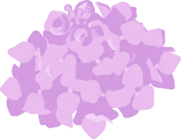 illustrazione del fiore di ortensia rosa. png