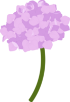 ilustración de flor de hortensia rosa. png