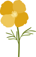 ilustración de dibujado a mano de flor de amapola de california amarilla. png