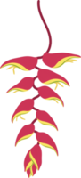 Red Heliconia flower hand drawn illustration. png