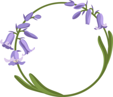 Bluebell flower hand drawn illustration. png