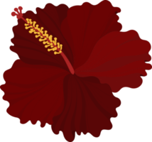 ilustração de mão desenhada flor de hibisco vermelho. png