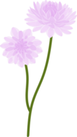 ilustración de dibujado a mano de flor de dalia púrpura. png