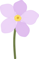 Pink forget me not flower hand drawn illustration. png