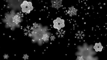 Snowflakes falling on black background video