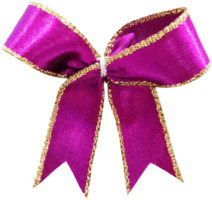 bow  gift ribbon cutout png