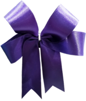 bow  gift ribbon cutout png