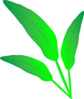 Green leaves tropical art graphic design decoration png